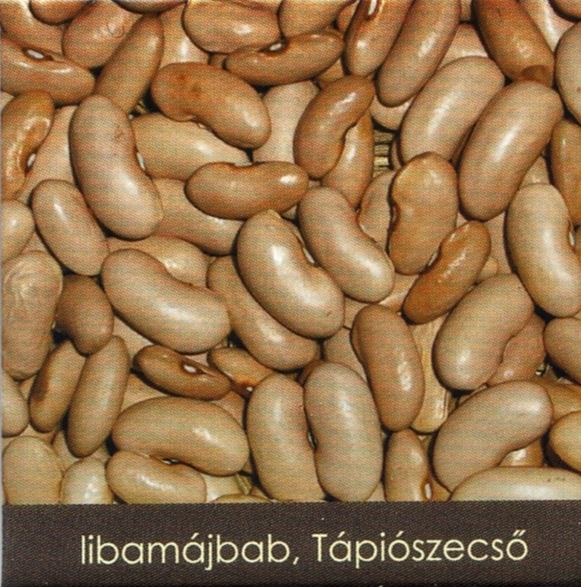 Libamájbab