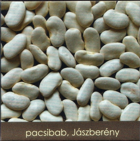 Pacsibab